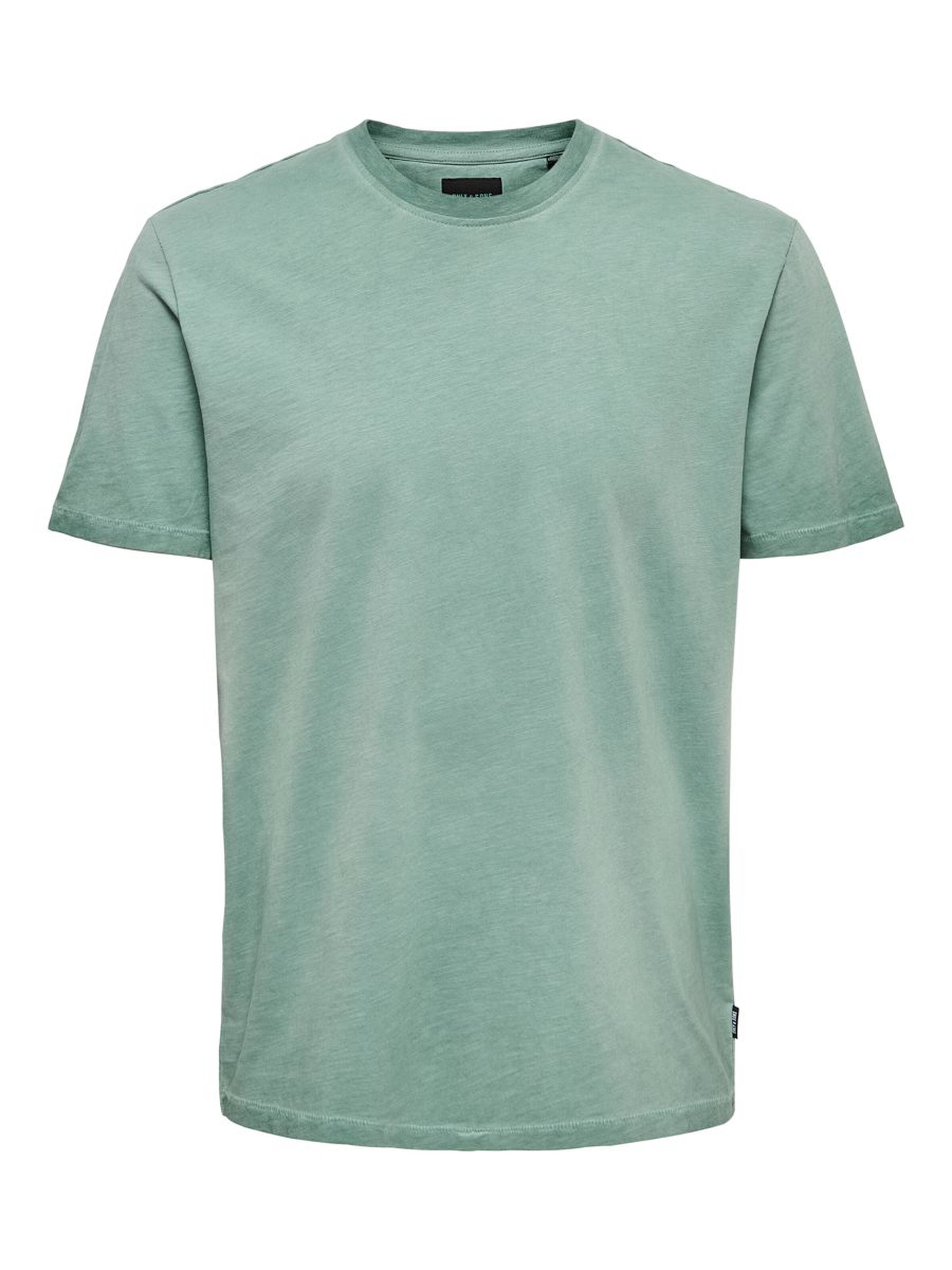 Only & Sons T-Shirt ONSMILLENIUM LIFE REG SS WASHED TEE